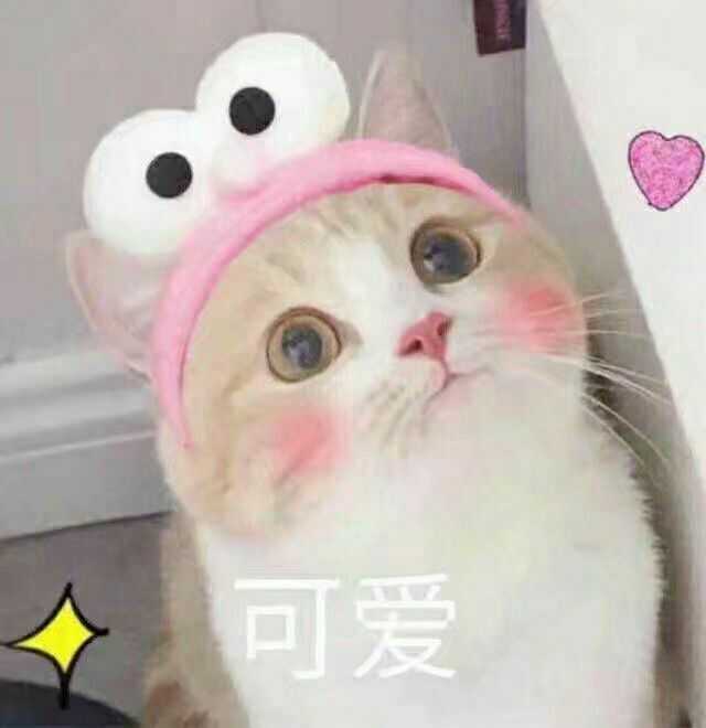 有哪些可爱的表情包?