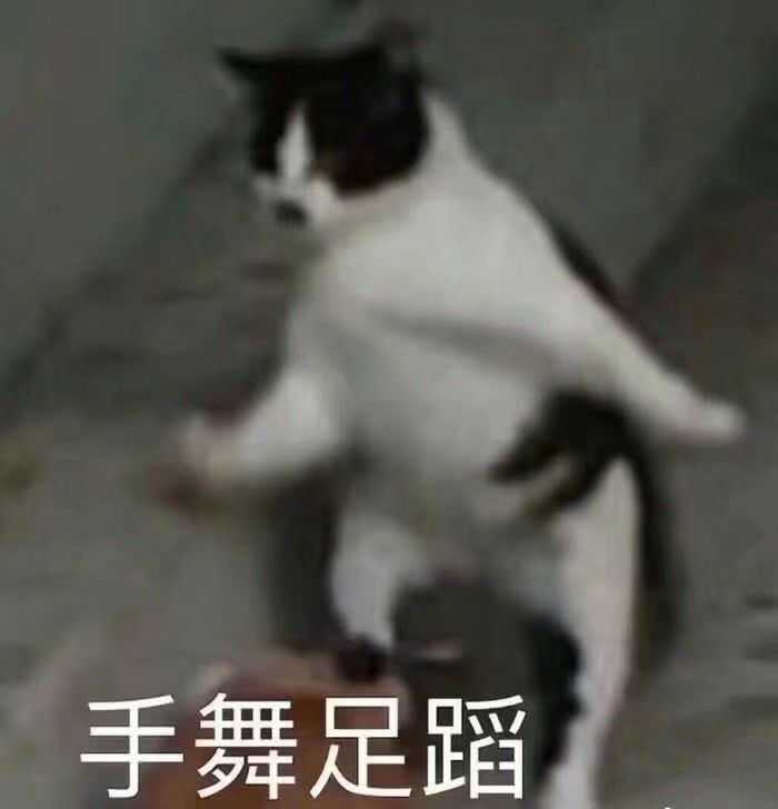 ——————————————————————↑ /*熊猫头太多就