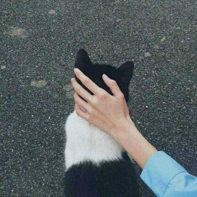 微信头像会影响第一印象吗?