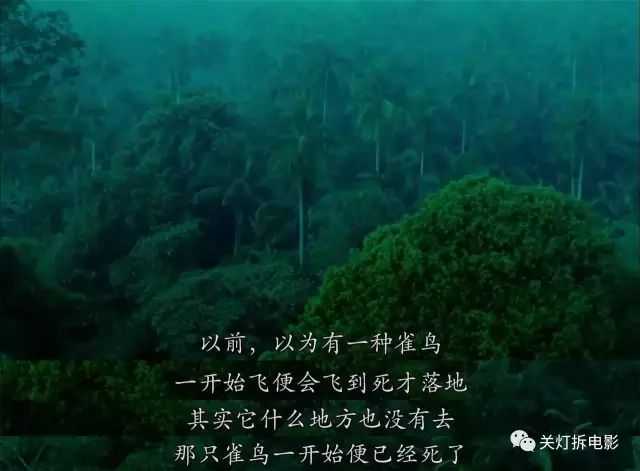 如何评价《阿飞正传》这部电影?