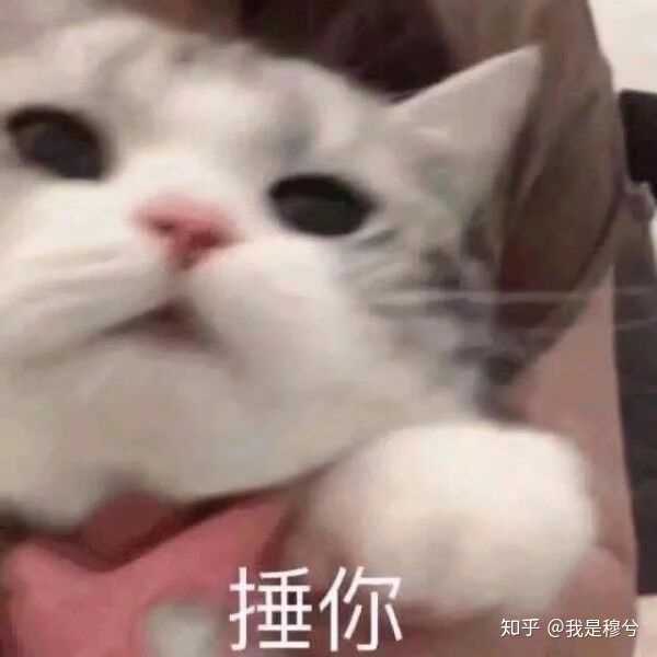 你们撩对象都用什么表情包啊～?