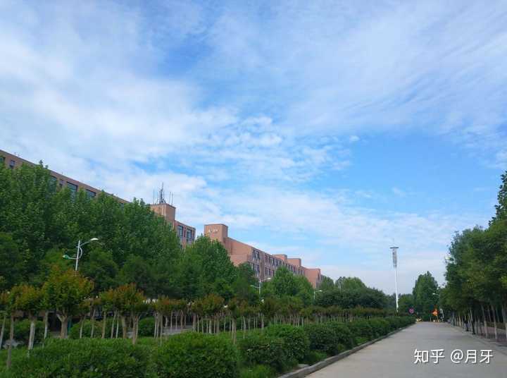 新乡医学院三全学院的校园环境如何?