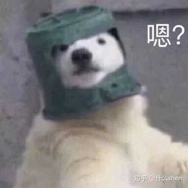 撩我家狗子的不知不觉间存了好多图,(小套路中参杂些许去幼儿园的车