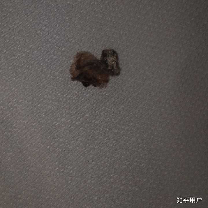 是否真的具有遮挡功能之类的?