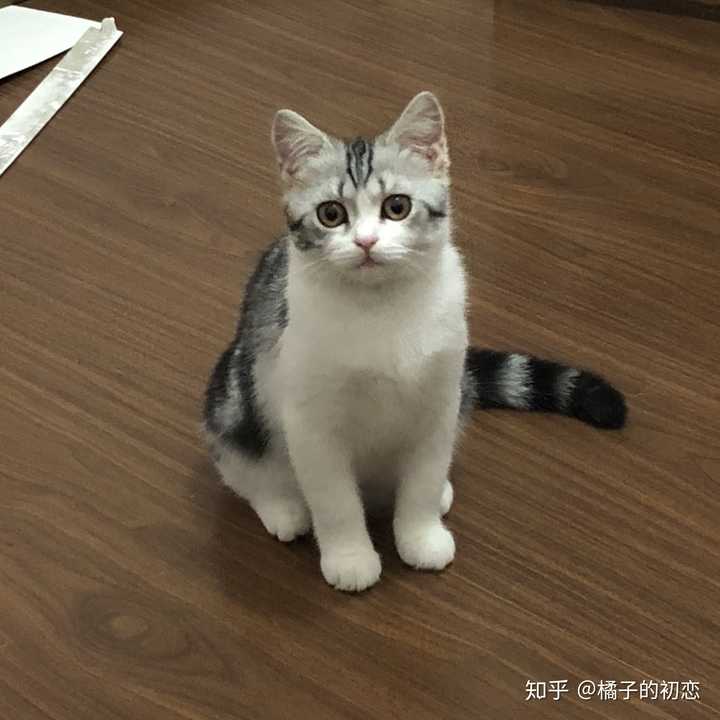 尖嘴猴腮 简直丑爆炸