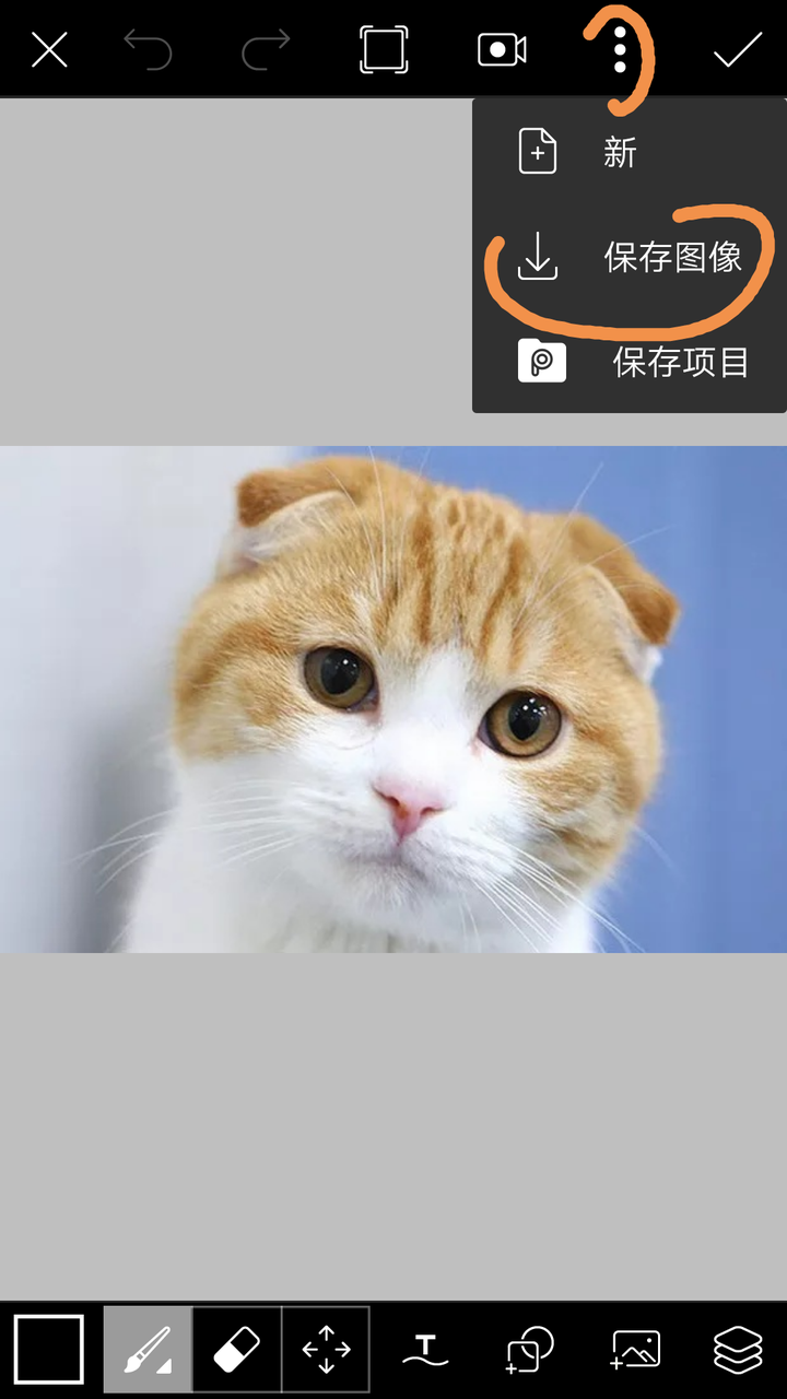 picsart照片,picsart美易p图安卓版 新版picsart怎么保存照片?