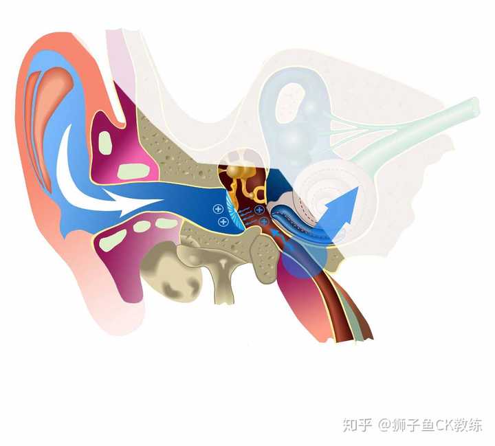 耳压平衡到底是一个什么样的技巧?