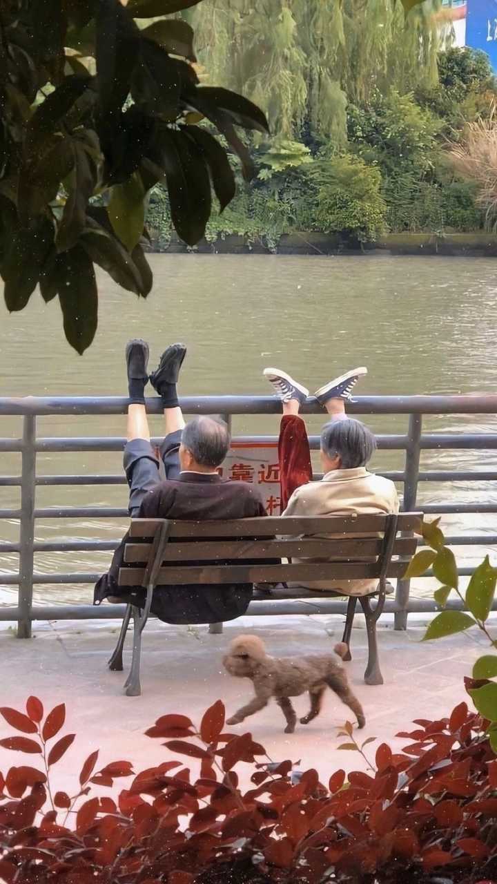 身边都心爱的小老头/小老太相互陪伴