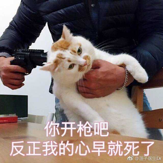 要杀要剐,随便你. 我认了.