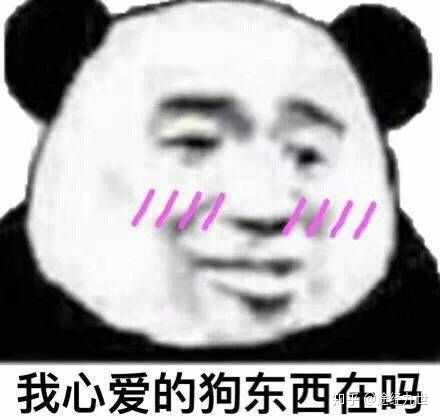 各位有没有什么撒泼打滚的表情包呀?