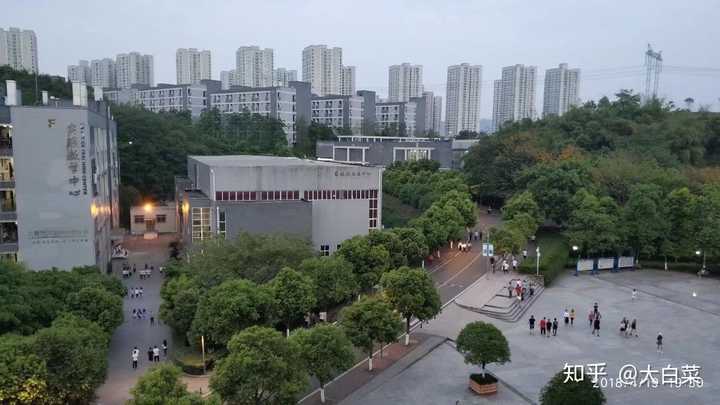 重庆城市管理职业学院怎么样?