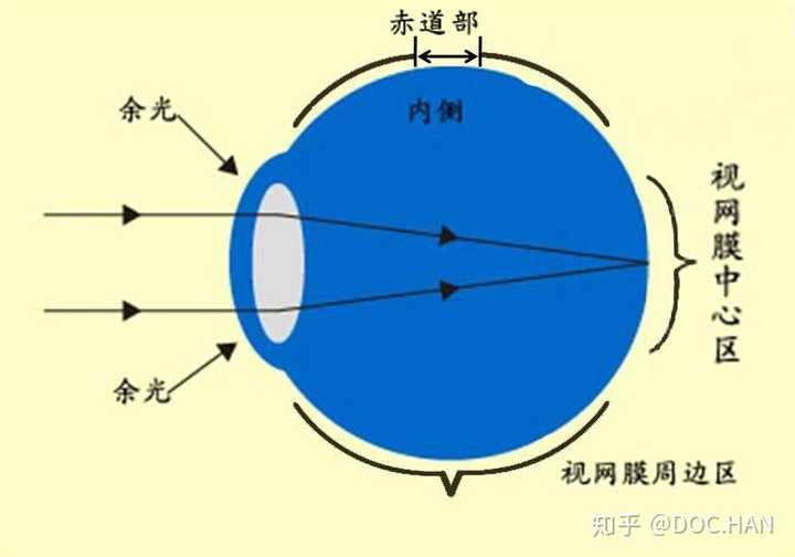 真假性近视是不是不可逆的?