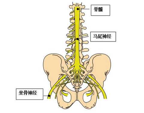 双锁