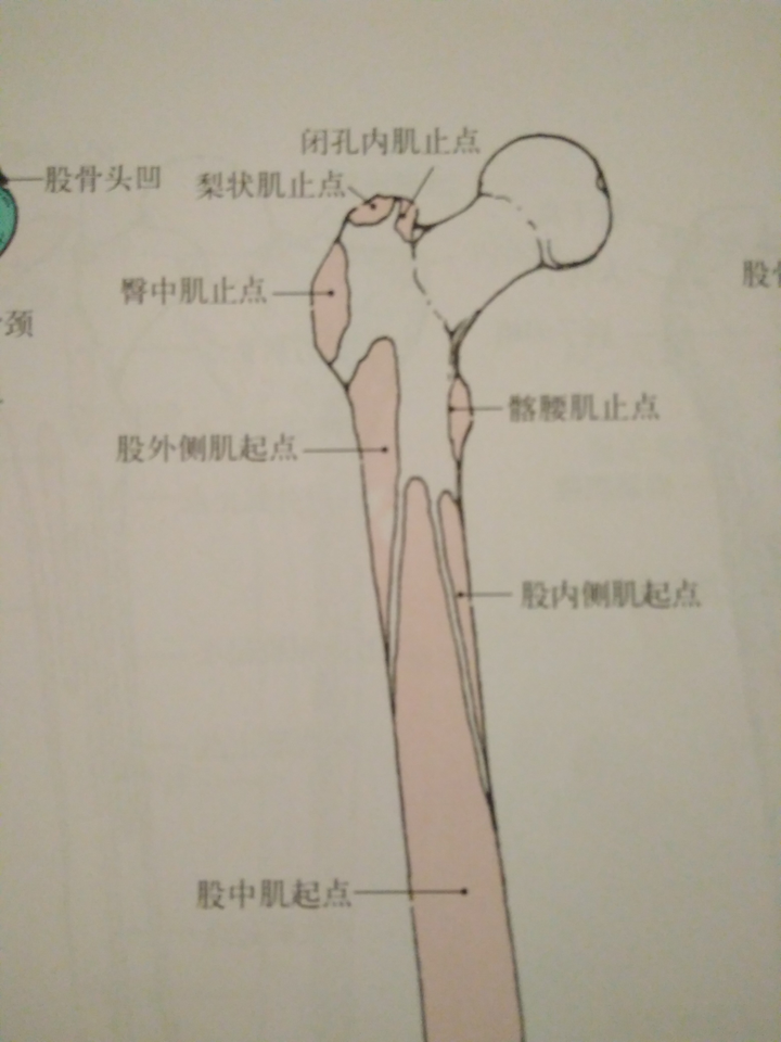 跑步时大腿与胯部连接处会痛,应该怎么办?