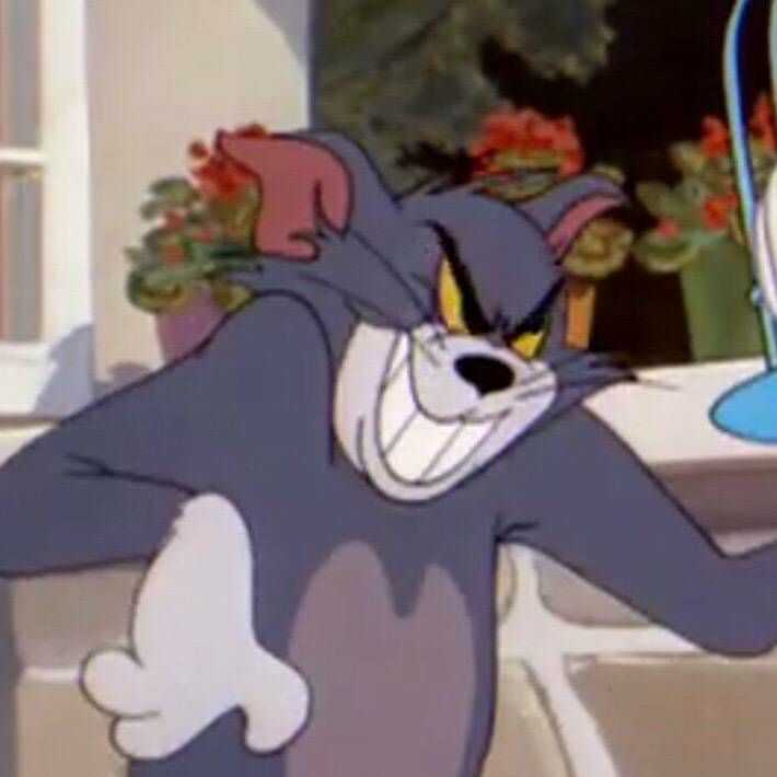 求汤姆猫的表情包?