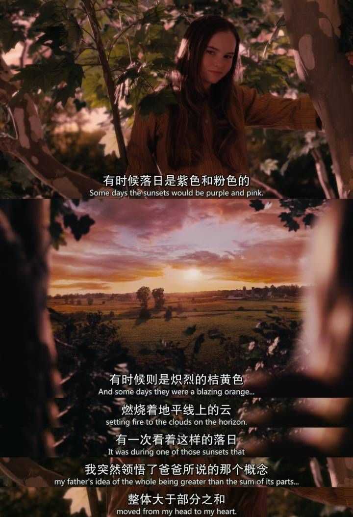 怦然心动电影在线观看完整版免费
