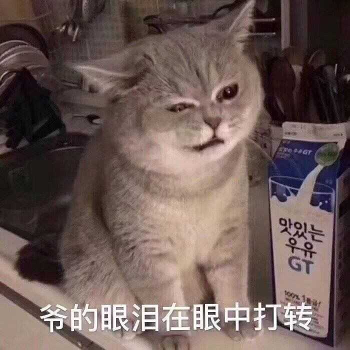 男生发猫猫狗狗的可爱表情包会是渣男吗?为什么?