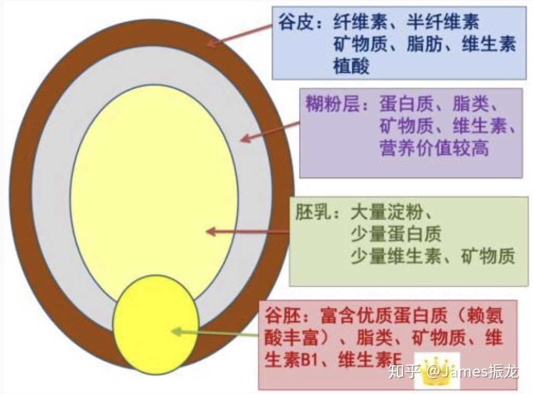 借机查了一下大米的营养分布.如果可能,还是建议吃糙米.