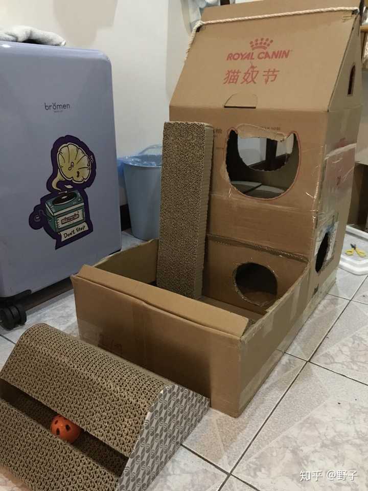 如何用废旧纸箱给猫做猫窝或者猫爬架