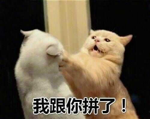 有没有打人的沙雕表情包,看起来超凶?