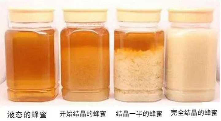 给蜜蜂喂白糖水来造假蜂蜜,这种说法是真实存在的吗?