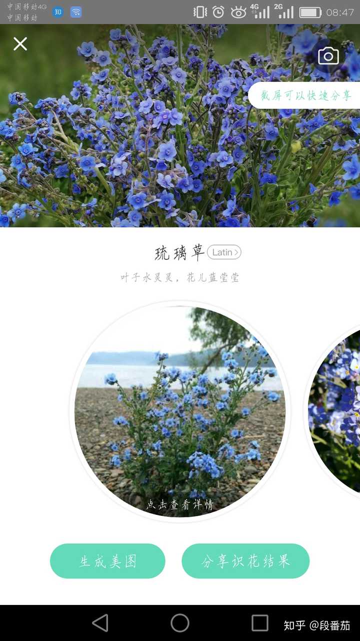 推荐花草识别app  "形色".