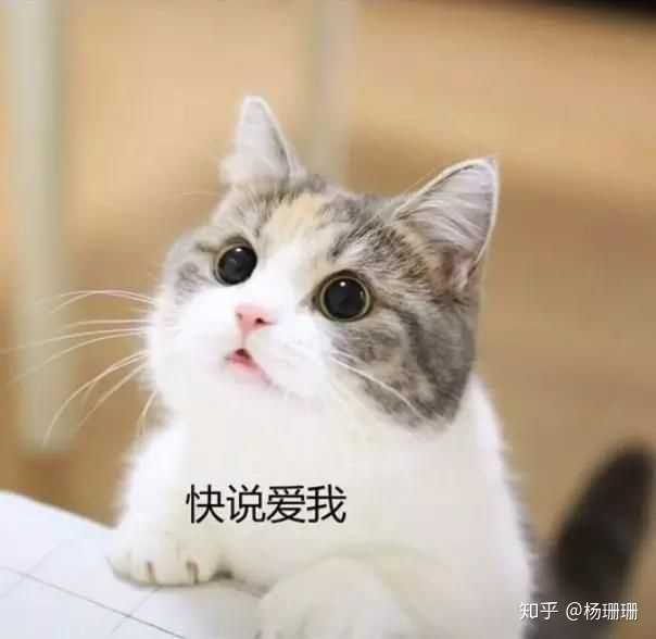 有哪些恋爱中和男友撒娇用的可爱表情包?