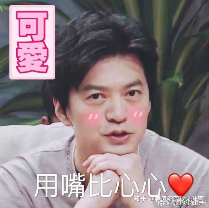 听友们有没有李健的表情包鸭 ?