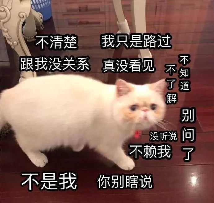 作为一名网络移动图库 不是我吹 什么表情包我没存过 如果有,那当我没