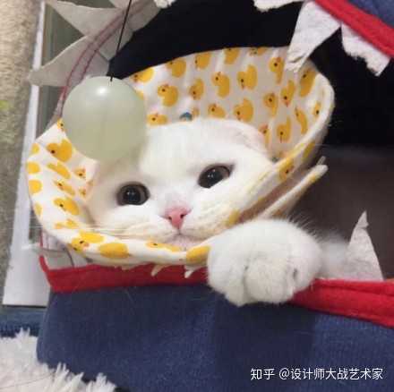 还有可爱萌娃系列