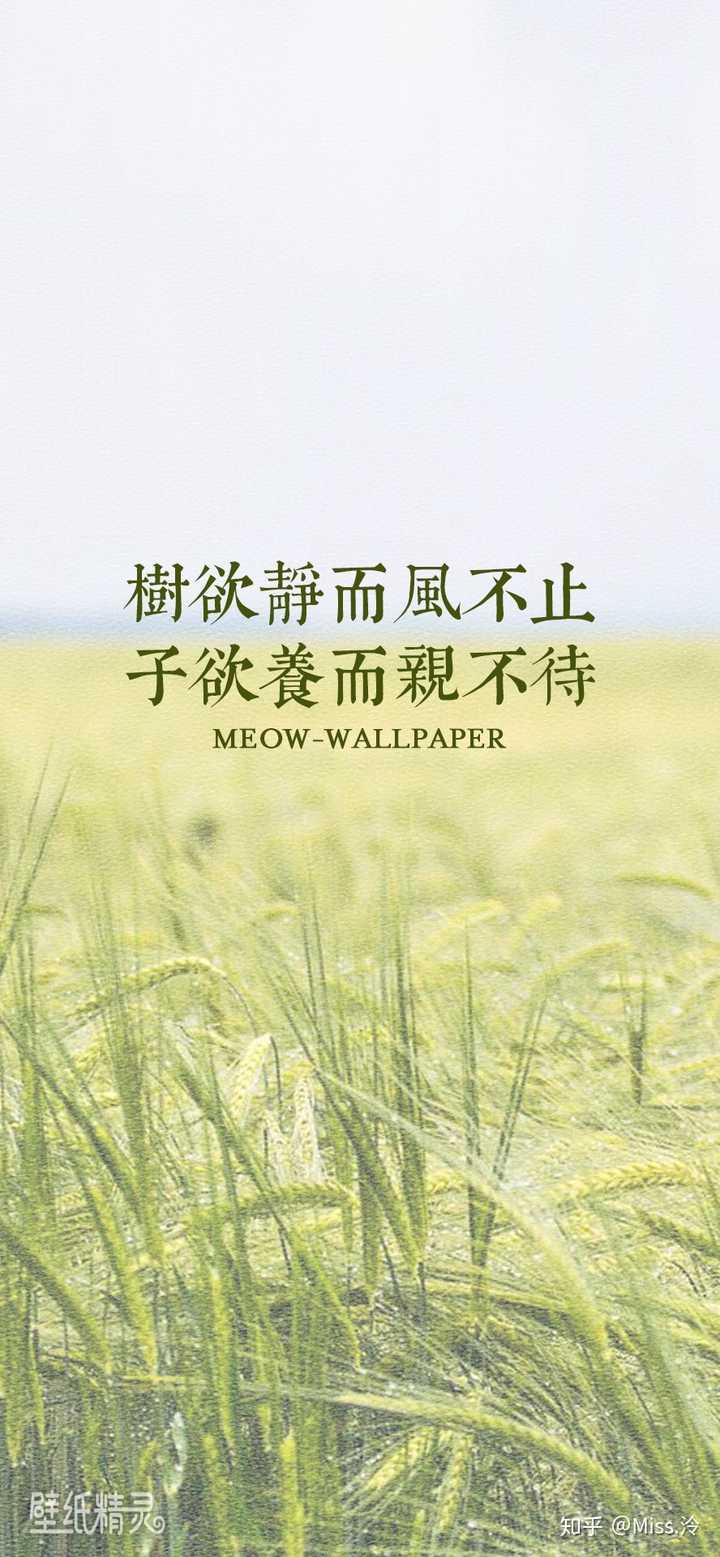 有什么励志的手机壁纸吗?