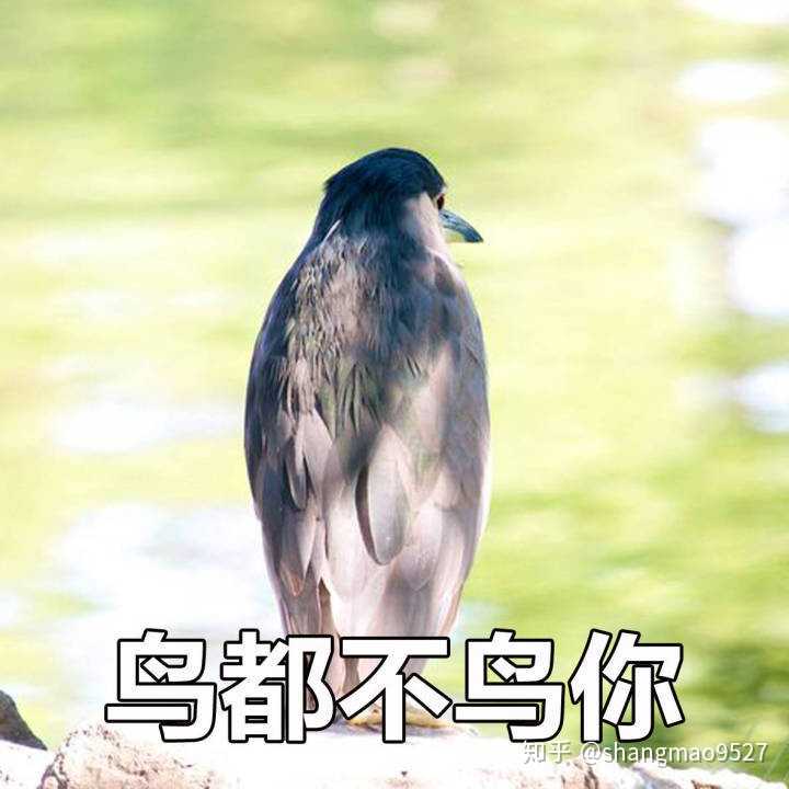 如何对待狗屁不懂还在你面前装x的人?