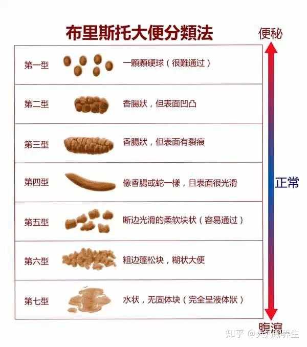 大便形状:条状软便