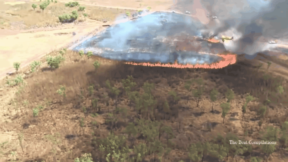 国外飞机灭火实例: 简单了解下两栖消防飞机原理 ag600同理 canadair