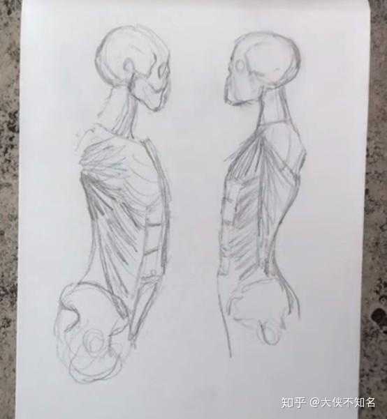 画人体素描具体步骤是怎样的