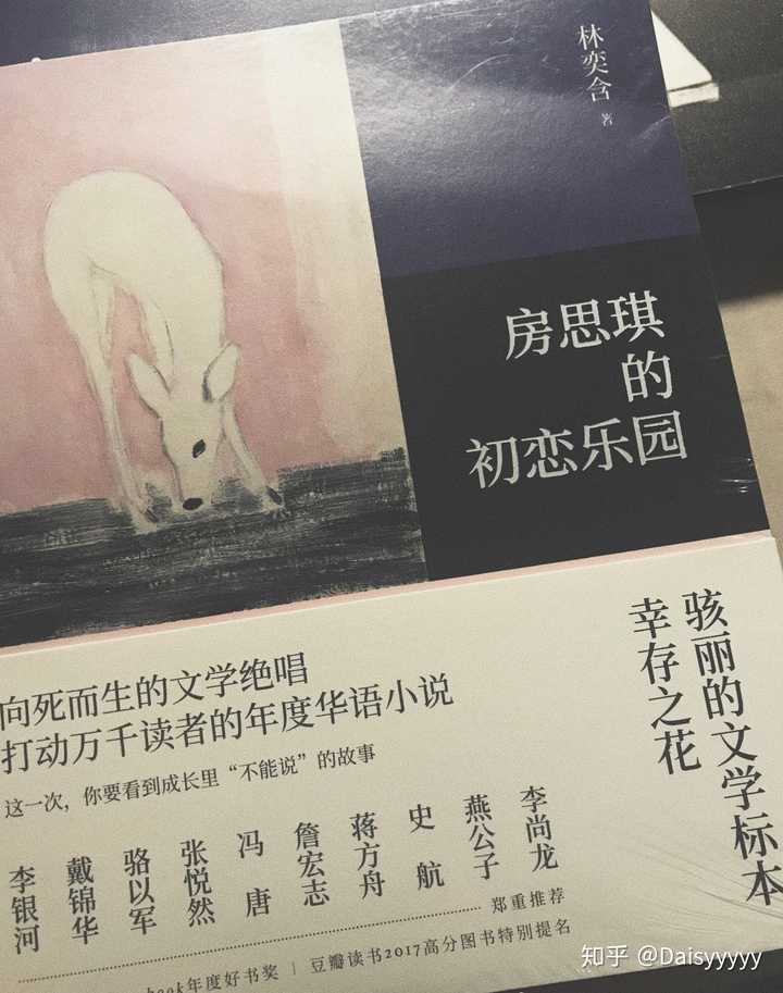 如何评价林奕含的小说《房思琪的初恋乐园》?