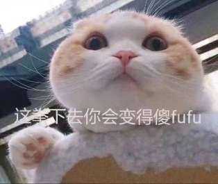 有没有情侣之间可爱调皮的表情包?谢谢各位大佬们!