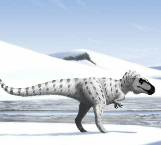 有没有能在冰冷的地方生活的恐龙?