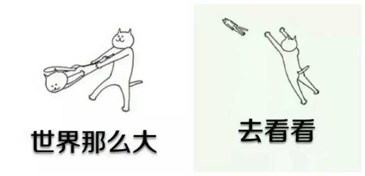 2017 年哪些论文让你深受启发?
