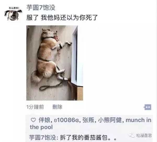 有没有什么笑到断气,笑出肺的笑话或者是段子?