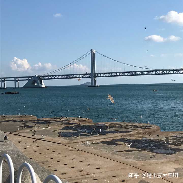 星海湾和星海湾大桥