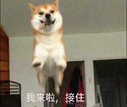 我都要激动到语无伦 亮 !