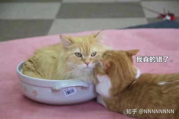 生气了呀 ,来消消气