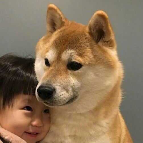 有没有男朋友不是人的情侣头像啊?