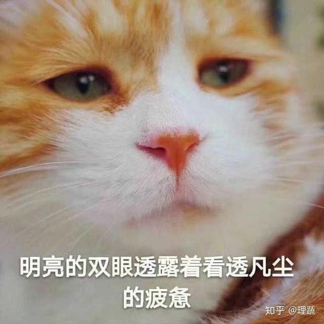 用什么头像让人觉得你是沙雕?