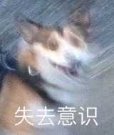 有哪些沙雕表情包?