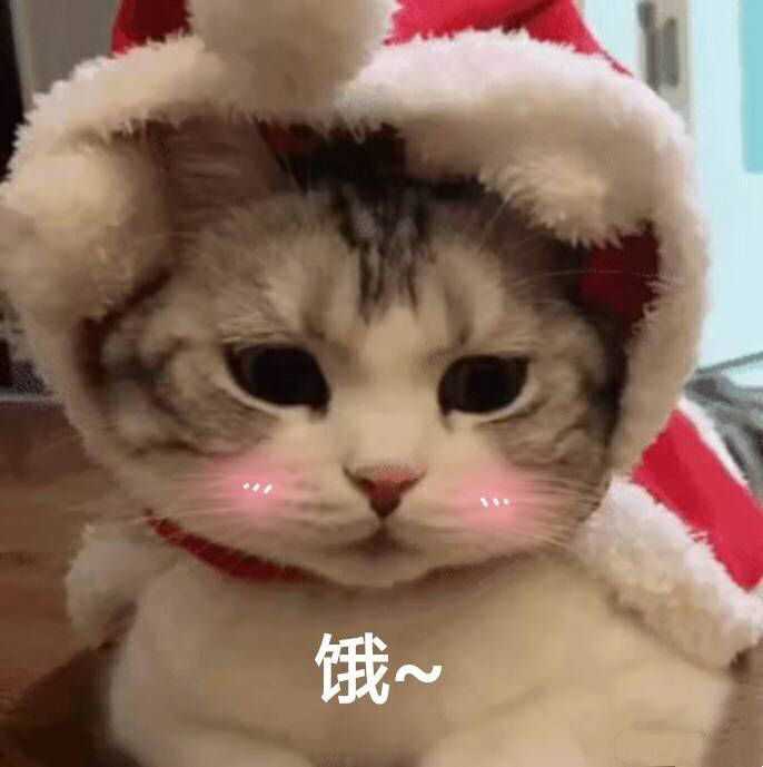 有什么适用于和老公/男票撒娇的可爱表情包?