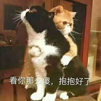 还问她疼吗,她说不疼,再掐,疼吗,不疼,疼吗,不疼,几个人挨个试一遍,我