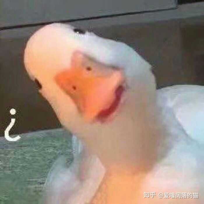有哪些沙雕表情包?