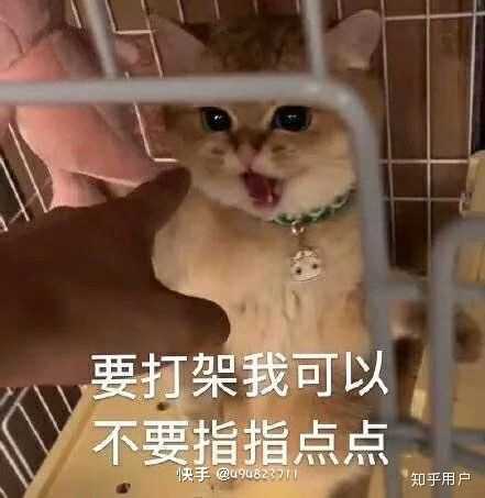 如何评价抖音要不要买菜的唱法?